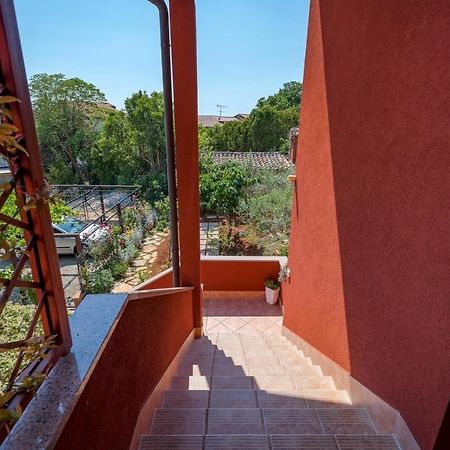 Iva House With Apartment Umag Dış mekan fotoğraf
