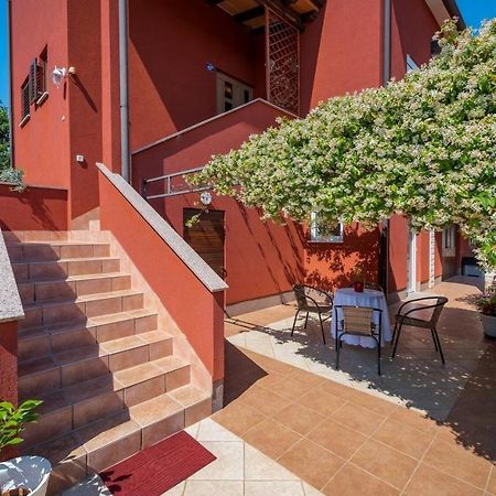 Iva House With Apartment Umag Dış mekan fotoğraf